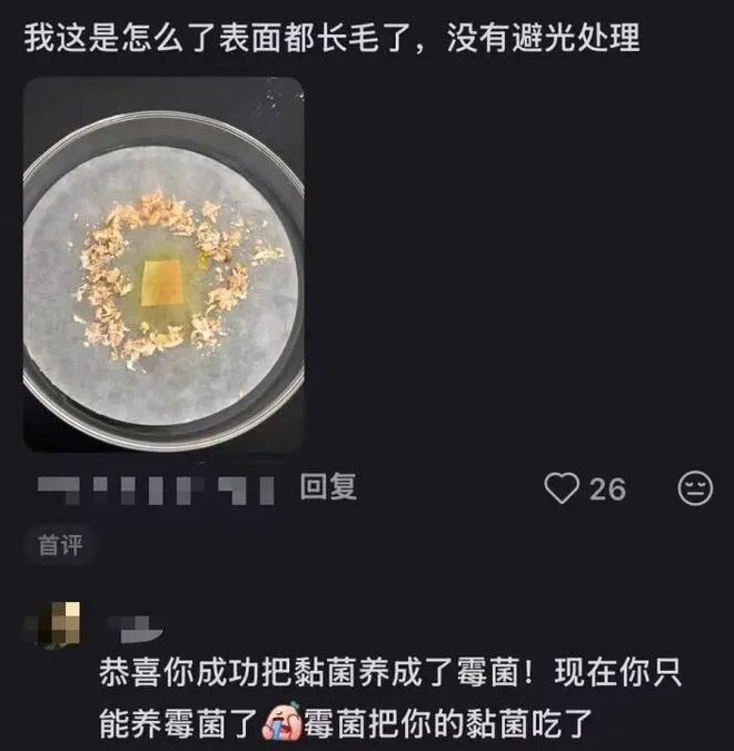 北上广年轻人,开始养砖头了(图20)
