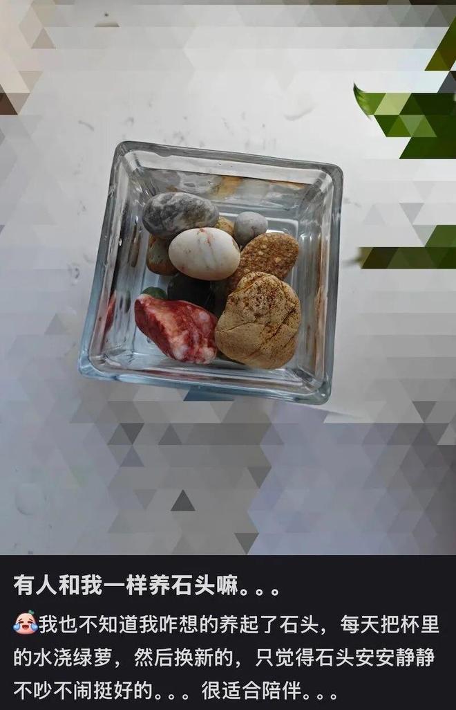 北上广年轻人,开始养砖头了(图22)