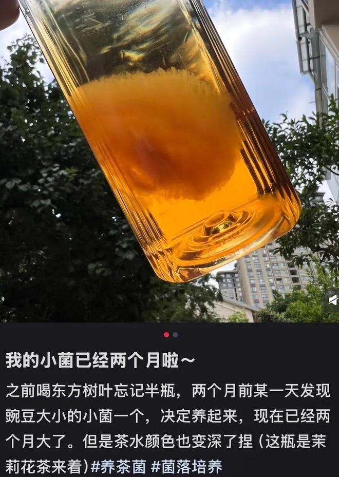 北上广年轻人,开始养砖头了(图8)