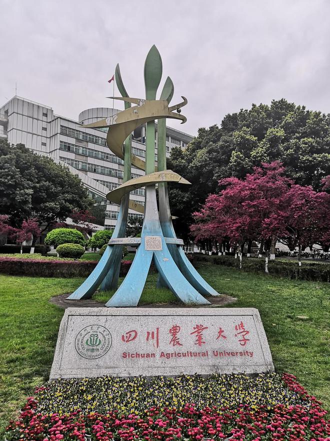 别再说农林是天坑！国考岗位三年暴增 42%，海关录用超六成是