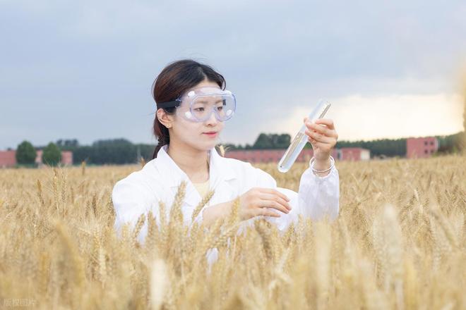 别再说农林是天坑！国考岗位三年暴增 42%，海关录用超六成是农林生，2026 农林大学四档排名出炉(图8)