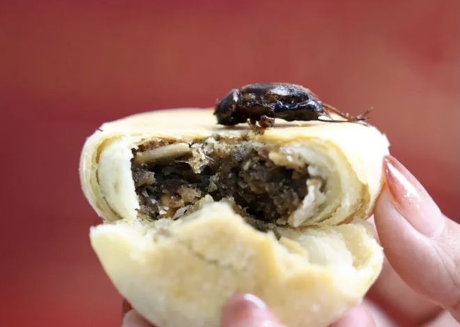 不买月饼的人,越来越多了(图29)