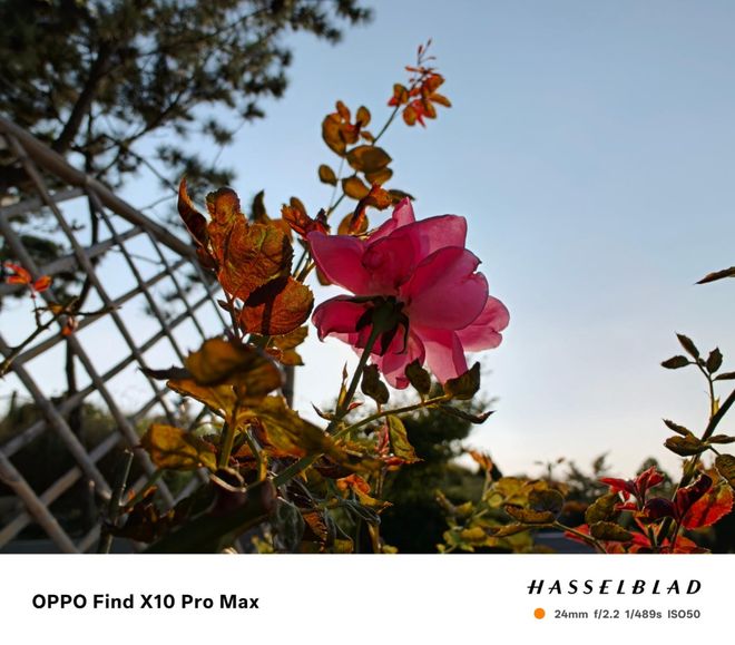 OPPO Find X10 Pro Max手机体验:3颗两亿镜头,就是这么豪横(图52)