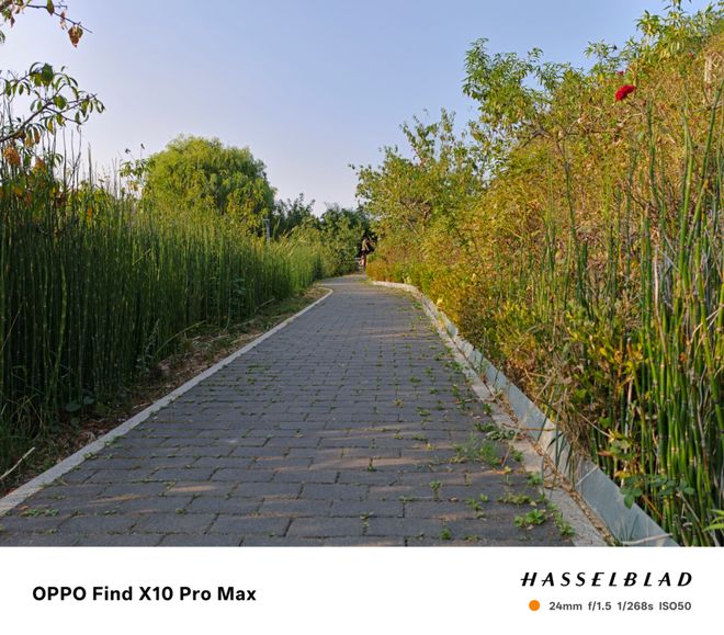 OPPO Find X10 Pro Max手机体验:3颗两亿镜头,就是这么豪横(图53)