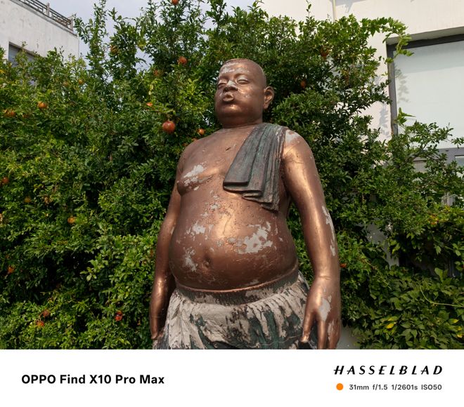 OPPO Find X10 Pro Max手机体验:3颗两亿镜头,就是这么豪横(图56)
