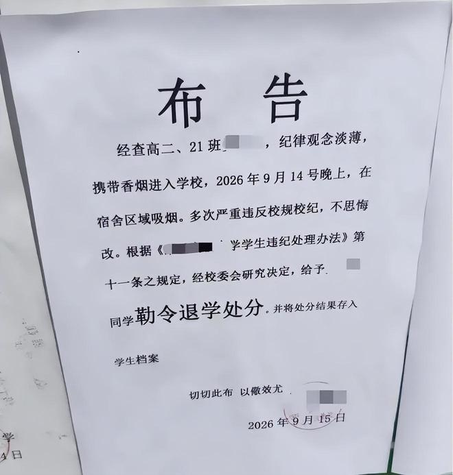 后悔晚了！考上全县最好高中，多次宿舍吸烟被勒令退学，少年：我没哭，看到父母求人破防了(图2)