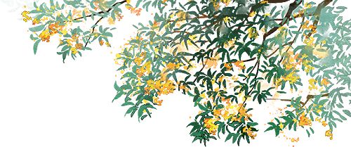 上海交大大一新生王若馨：再见，中华中学；你好，上海交大！(图3)