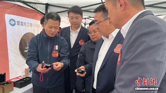 漫步哈工程枫林:赏北国秋景 感受船海科创魅力(图1)