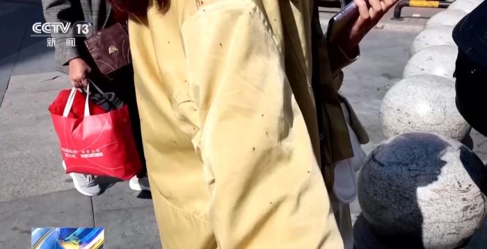 头发上、衣服上都是它!东北秋天的“小咬”到底是啥(图2)