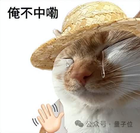 啥题啊能干崩OpenAI最强模型训练…(图18)
