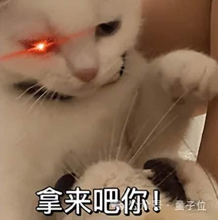 啥题啊能干崩OpenAI最强模型训练…(图19)