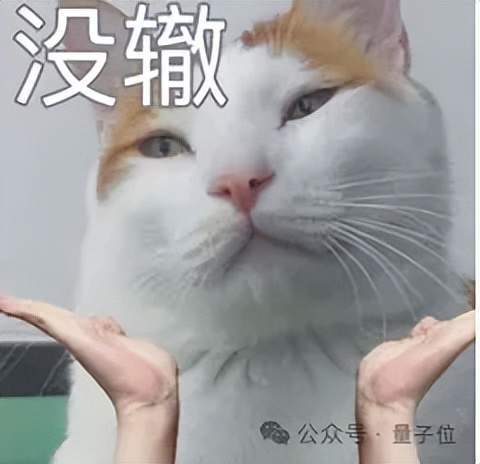 啥题啊能干崩OpenAI最强模型训练…(图5)