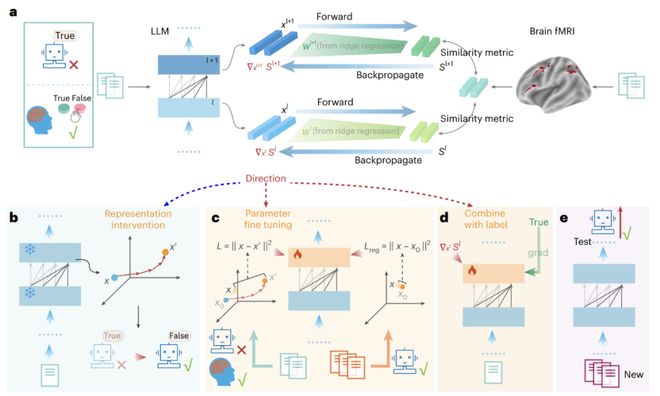 Nature Machine Intelligence｜不只是「像大脑」，人脑信号还能直接引导语言模型进行鲁棒推理(图6)