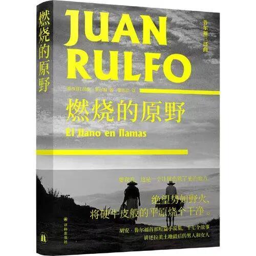 伊姐周日热推:电视剧《征途》;电视剧《东北有个周东北》(图7)