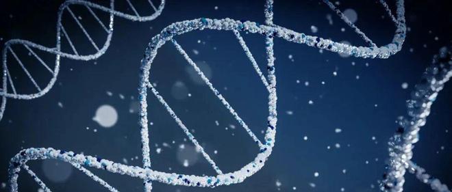 制药技术新革命，AI 如何助力微生态药物研发？ | Rebu