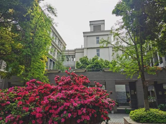 连开两所高中，石室联中与七中育才和树德实验走出了不同的节奏(图4)