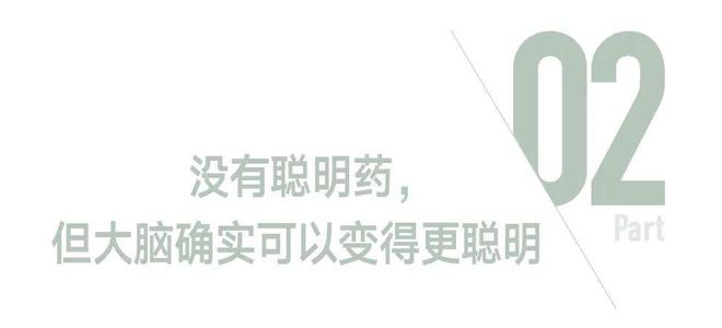 老板，我的脑子好像忘在家里了(图5)