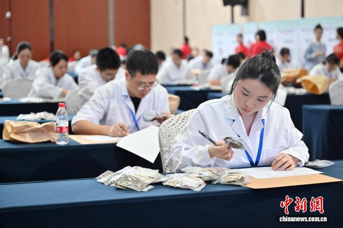 广东中药调剂人才齐聚广州同台竞技(图1)