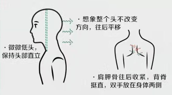 收藏！2027山东高考报名 证件照 拍摄要求(图3)