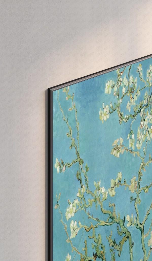 徐梦桃空降南京！TCL Q9M Art以壁纸美学诠释SQD冠军画质(图3)