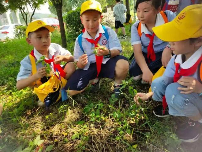 “做中学”要落地,校长先算清这四笔账——教育部领航行动的深层逻辑与一线学校的真实答卷(图12)