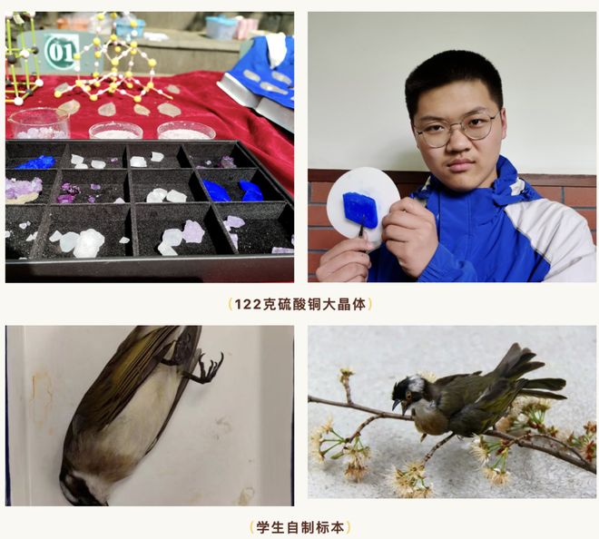 “做中学”要落地,校长先算清这四笔账——教育部领航行动的深层逻辑与一线学校的真实答卷(图16)