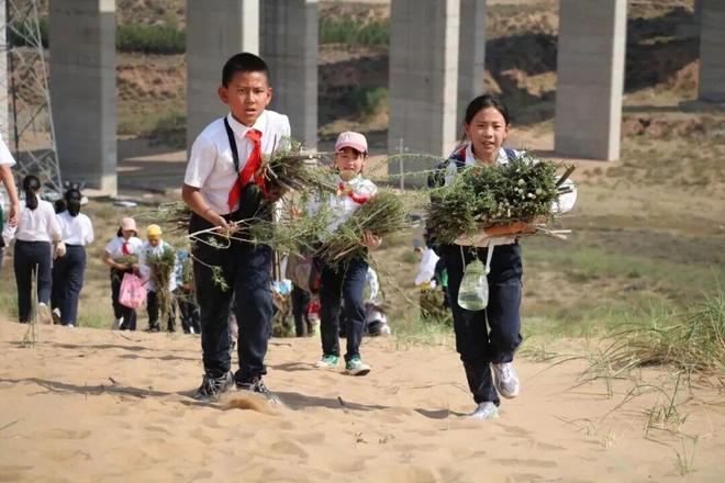 “做中学”要落地,校长先算清这四笔账——教育部领航行动的深层逻辑与一线学校的真实答卷(图18)