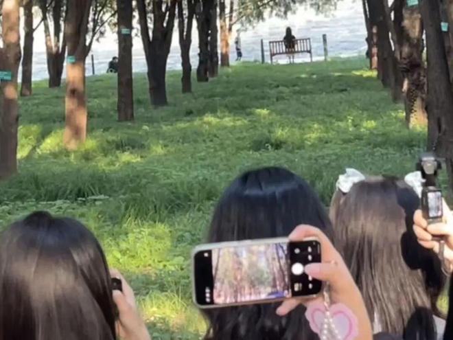 十一长假，中产挤爆“旅游兴趣班”(图15)
