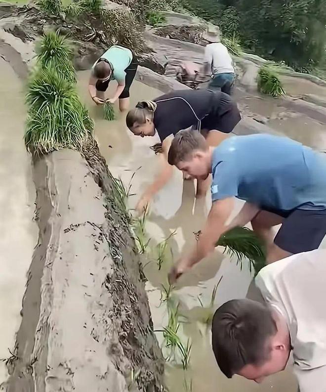 十一长假，中产挤爆“旅游兴趣班”(图10)