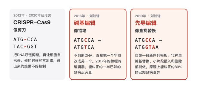 诺奖今晚开奖！11位华人冲奖(图15)