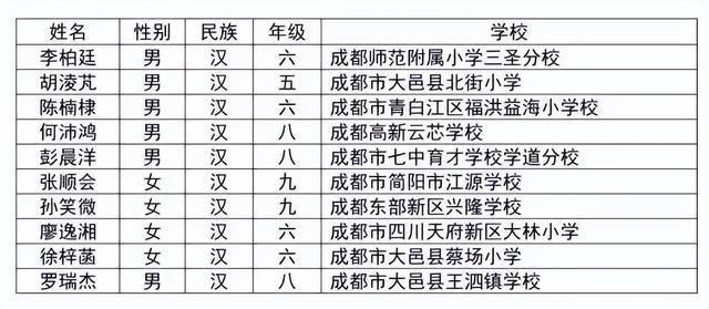 优秀！成都10名同学获得这项重磅奖学金(图3)