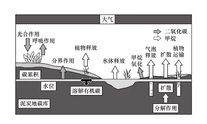 高考地理中的泥碳问题(图2)