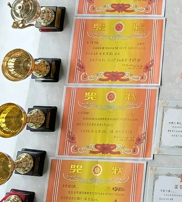 一张虚伪的“女儿躺赢奖状图”，被懂行的人扒了个干净，家长连底裤都不剩(图3)