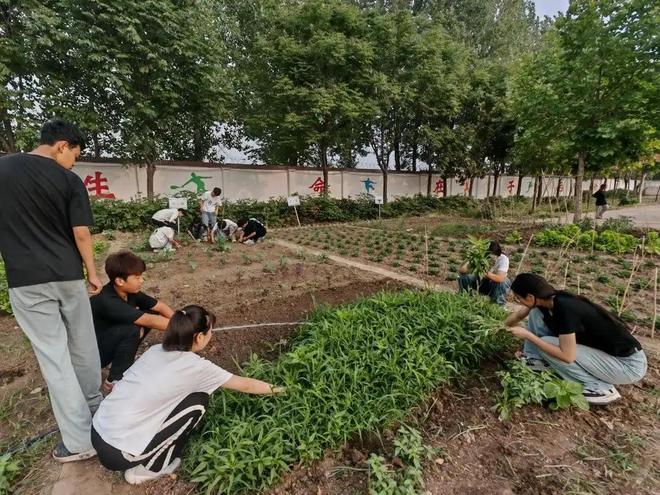 教育部：将在全国推行每周至少半天校外实践教学，网友纷纷点赞：