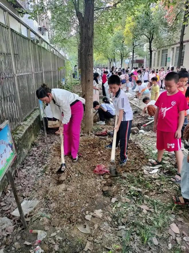 教育部：将在全国推行每周至少半天校外实践教学，网友纷纷点赞：重拾劳动育人初心，让教育扎根大地(图2)