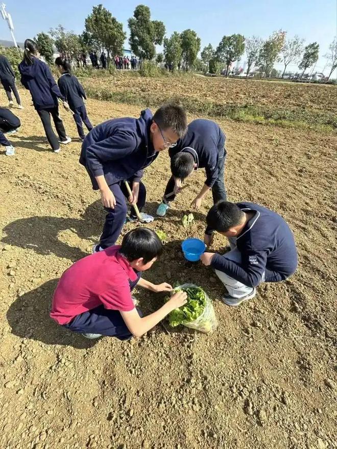 教育部：将在全国推行每周至少半天校外实践教学，网友纷纷点赞：重拾劳动育人初心，让教育扎根大地(图5)