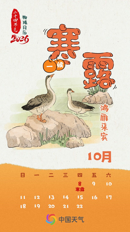寒露秋色正浓 全国秋菊绽放地图看哪里“菊”势正好(图1)