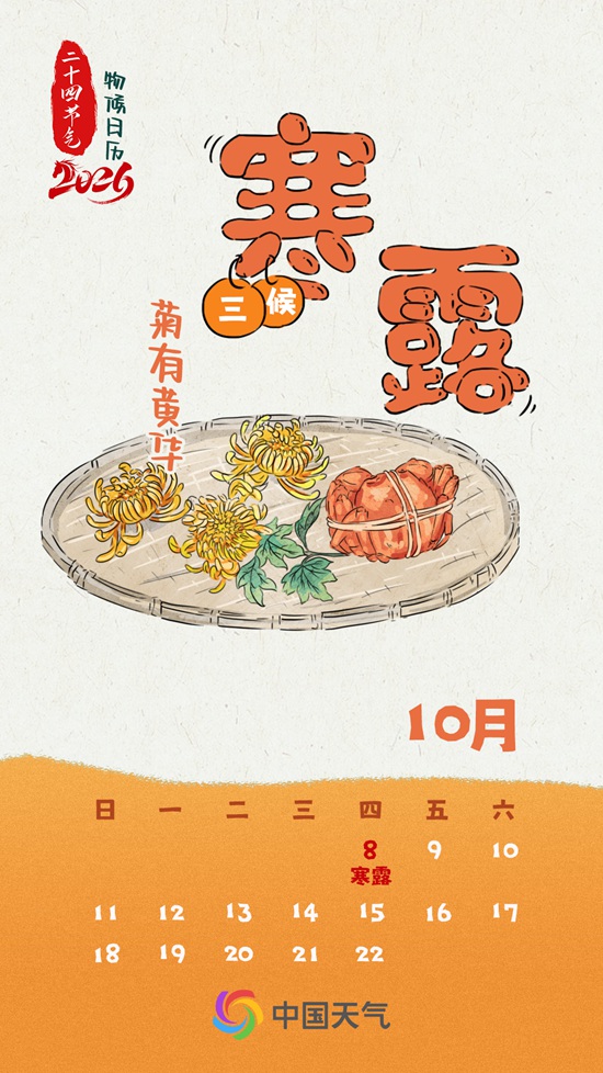 寒露秋色正浓 全国秋菊绽放地图看哪里“菊”势正好(图3)