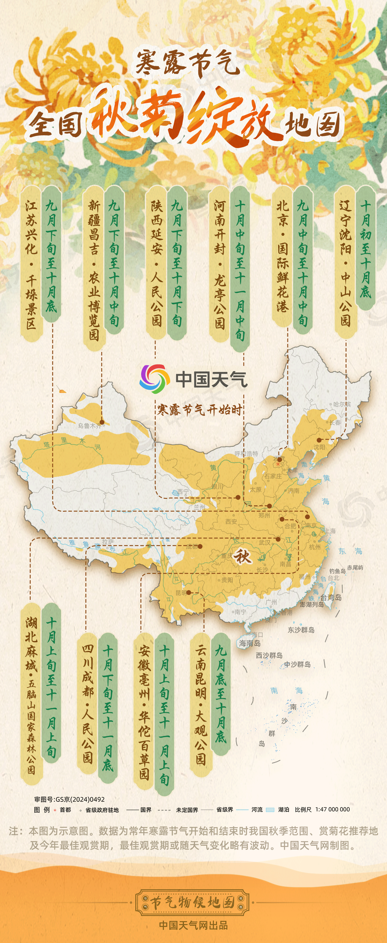 寒露秋色正浓 全国秋菊绽放地图看哪里“菊”势正好(图4)