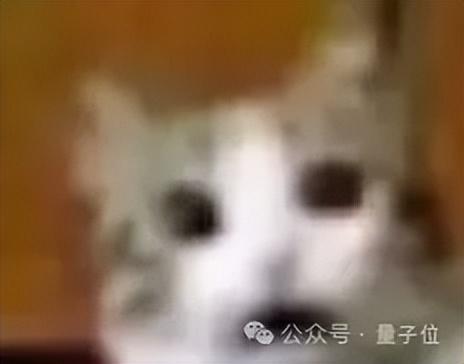 24天！Jev估值翻至75亿美元，年度硅谷最爽逆袭了吧(图22)