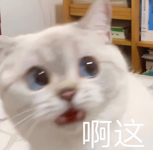 陶哲轩：数学2.0时代已至！(图9)
