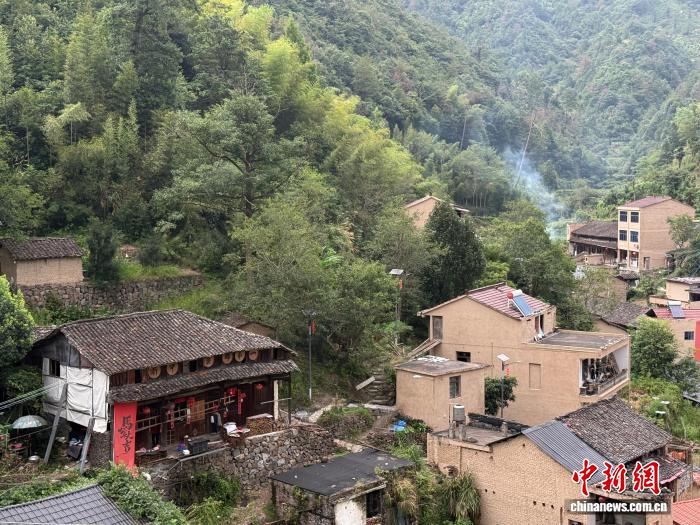 （乡村行·看振兴）青年蹲点“浙中蜜蜂村”：大山里的“青春必修