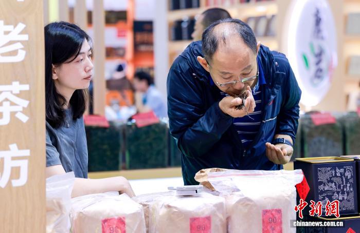 2026厦门国际秋季茶博会开展 搭建“茶和天下”国际茶产业合