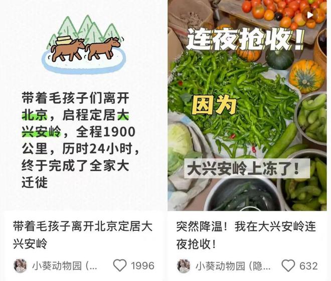 1万全款买房，年轻人开始「提前退休」(图18)