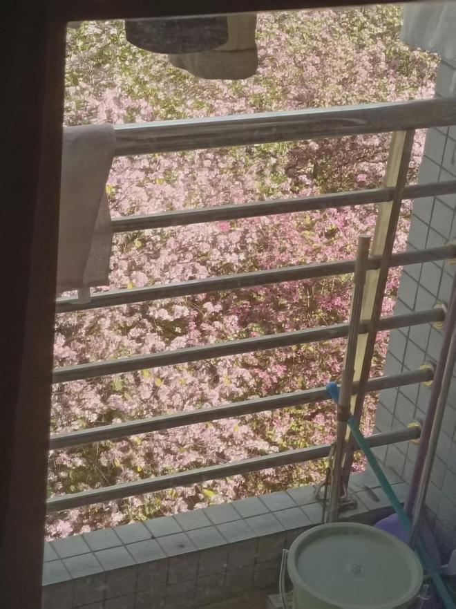 大学宿舍，精神炼狱(图10)