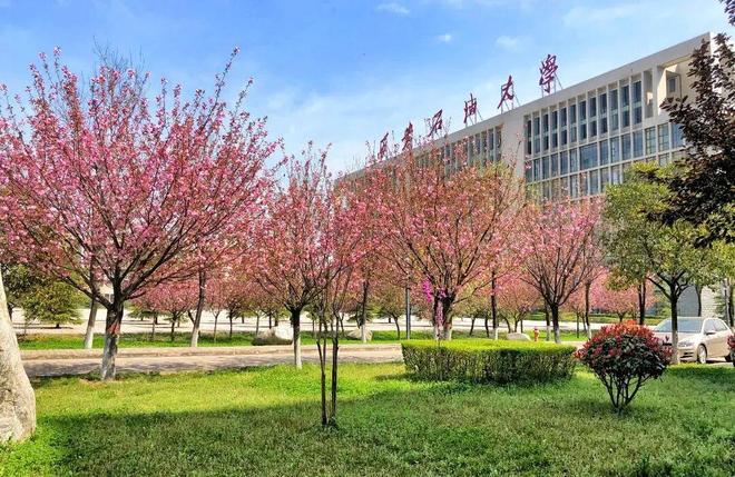 全国“就业率很高”的3所大学,如果能考上,毕业完全不用愁!27届高考生及家长提前了解(图1)