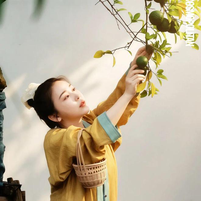 重阳寻香：一炉香，一枚囊，她们以手传香(图2)