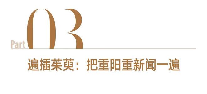 重阳寻香：一炉香，一枚囊，她们以手传香(图8)