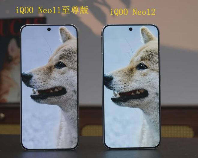 10月底三机连发：iQOO Neo12、REDMI K100、一加Ace7集中亮相(图2)