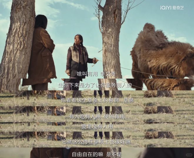 50岁的马伊琍，迎来了最佳赏味期(图9)